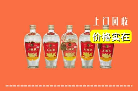 营口鲅鱼圈区回收老五粮液